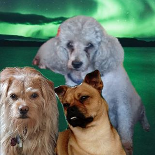 Profile Picture of Brigitte Radeck (@brigitte.radeck.3) on Facebook