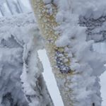 Profile Picture of Carlos 😂😉 (@carlos.finke) on Instagram