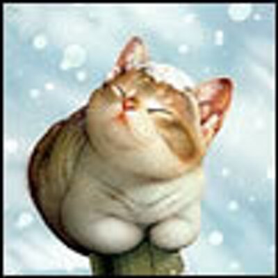 Profile Picture of Alexander Ivanoff (@Strangerod) on Twitter