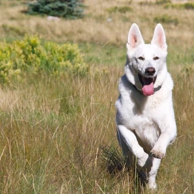 Nick Kendrick - Twitter Profile Picture of Nick Kendrick (@NickJKendrick) on Twitter