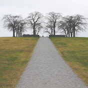 Profile Picture of Howard Barrett (@howardbarrett3608) on Youtube