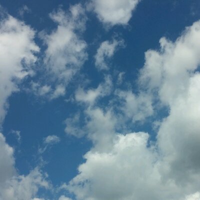 Profile Picture of Gene Hong (@genehong934) on Twitter