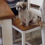 Profile Picture of Patrick Farrelly (@Patrick-Farrelly) on Facebook