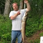 Sean Keller - Facebook Profile Picture of Sean Keller (@Sean-Keller) on Facebook