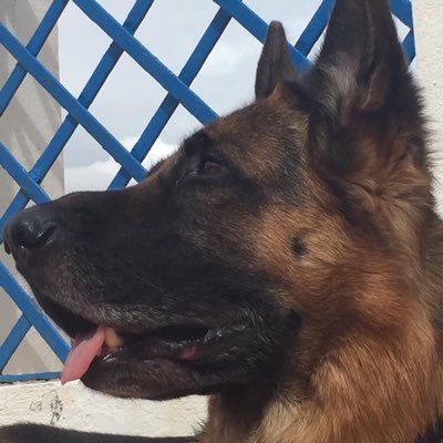 Profile Picture of Marisa Hidalgo (@MarisaHidalgo1) on Twitter
