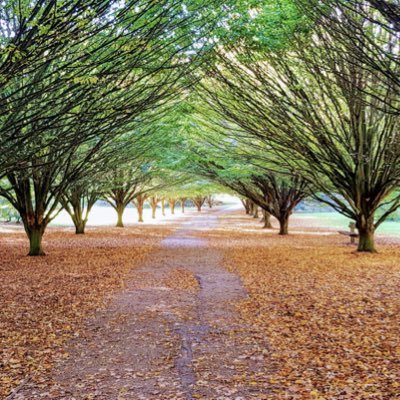 Profile Picture of Chris Grabski FCCT (@ChrisHGR) on Twitter