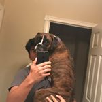 Profile Picture of Alex Nuño (@alex.2003n) on Instagram