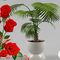 Profile Picture of Kepha Juma (@kepha.juma.1) on Facebook