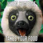 Profile Picture of Toats Me Goats🐐 (@michael.pigeon) on Instagram