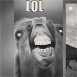 Profile Picture of Damian Ciepłucha (@cieply700) on Instagram