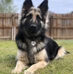 Profile Picture of Andrew Fernstrom (@andrew.fernstrom.7) on Facebook