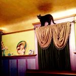 Brian Wolcott - Instagram Profile Picture of Brian Wolcott (@wolcottbrian) on Instagram