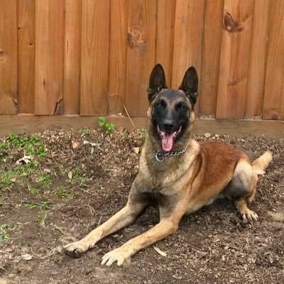 Profile Picture of Glenn Shoemaker (@GlennShoemaker) on Twitter