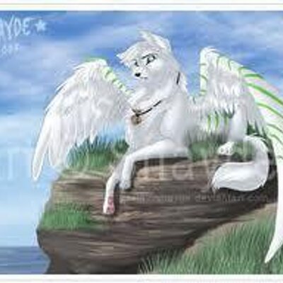 Profile Picture of Jacob Noyes (@TheWolfOmega) on Twitter