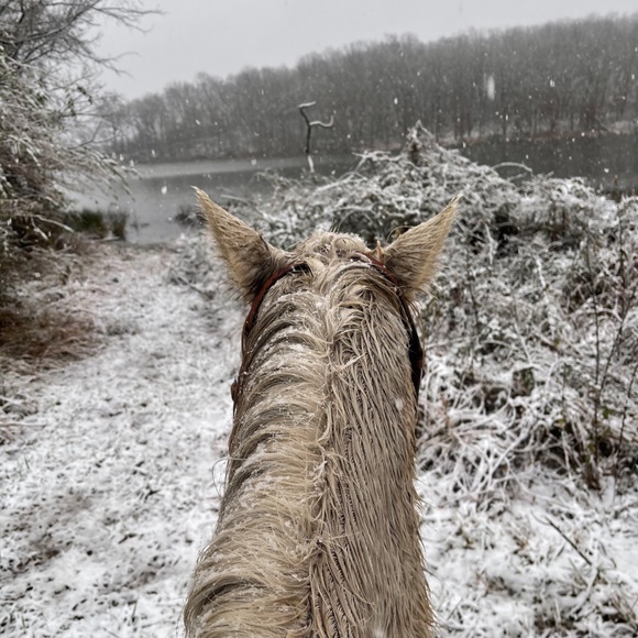 Profile Picture of Treva Duede (@trevaduede) on Poshmark