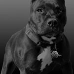 Profile Picture of Jeremy Blackston (@jeremy.blackston.79) on Instagram