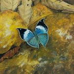 Profile Picture of Sanjaya Weeratunge (@sanjaya_art_studio) on Instagram