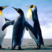 Profile Picture of Daniel Sharp (@danielsharp279) on Youtube