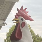 Profile Picture of Derek Homan (@derek_homann) on Instagram