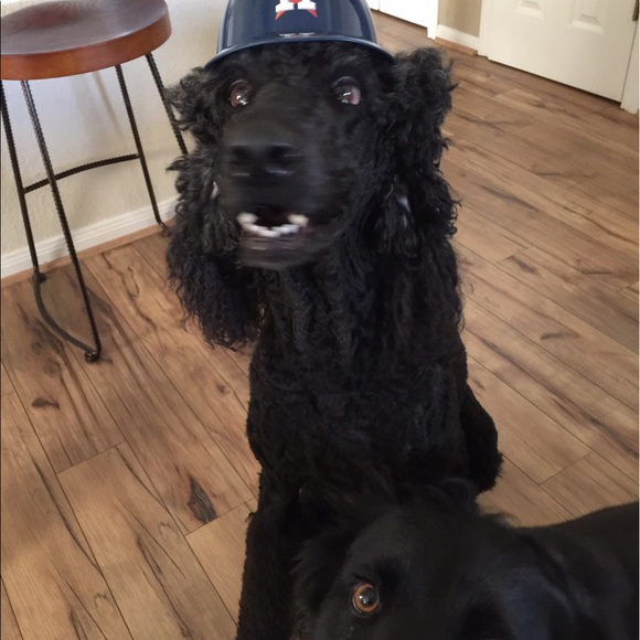 Profile Picture of Debi Screnci (@screncis1234) on Poshmark