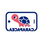 Profile Picture of Carapacea (@carapacea.ro) on Instagram