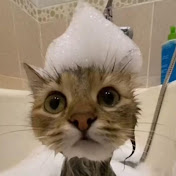 Profile Picture of Robert Humphrey (@roberthumphrey3186) on Youtube