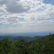 Profile Picture of David Temkin’s 2024 Videos (@davidtemkin24) on Youtube