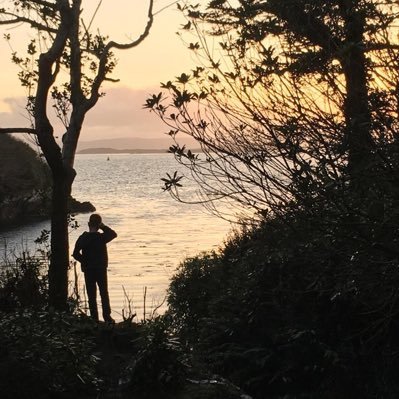 Profile Picture of Lou Browne (@twitloo) on Twitter