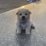 Profile Picture of Côi Ngô Đình (@coi.ngo.inh.2024) on Facebook