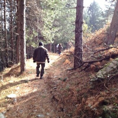 Profile Picture of Alex Alexandrou (@AAlexandroub) on Twitter