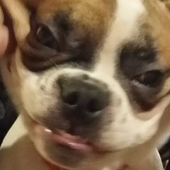 Profile Picture of Marek Kolasiński (@zabson00) on Tiktok