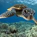 Profile Picture of Randall Burge (@randjburge) on Pinterest
