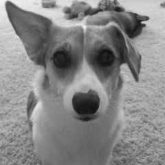 Profile Picture of Nancy Simpson (@junebuggy19) on Pinterest