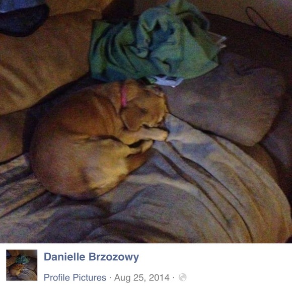 Profile Picture of Joshua Nino (@joshuanino) on Poshmark