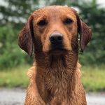 Profile Picture of Isa (@isabellejensen_) on Instagram