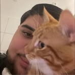 Profile Picture of David Gendelon (@David-Gendelon) on Facebook