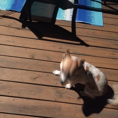 Profile Picture of Scott DeBolt (@DeboltScott) on Twitter