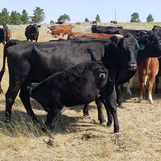 Profile Picture of Andrew Gartside (@andrew.gartside.35) on Facebook