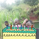 Profile Picture of Farai William (@farai.william.75) on Facebook