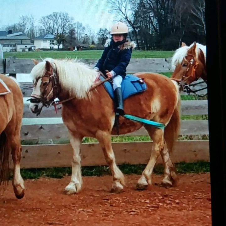 Profile Picture of 🐎Amanda🐎👧❤ (@amandas.reiter.welt) on Tiktok