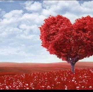 Profile Picture of Junaid Muhammad (@Junaid-Muhammad) on Facebook