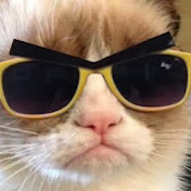 Profile Picture of Mauro Pereira (@MPereirovic) on Youtube