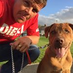 Profile Picture of Steve Sommers (@sommers999) on Instagram