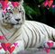 Profile Picture of Hamid Ashraf (@hamid.ashraf.522) on Facebook