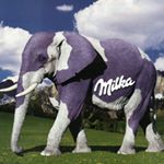 Profile Picture of Mike Willemsen (@mike.willemsen1) on Instagram