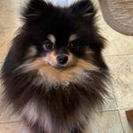 Profile Picture of Sandy Kirby (@sandy.kirby.12) on Instagram