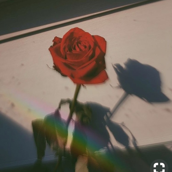 Celeste Jasmine - Poshmark Profile Picture of Celeste Jasmine (@celsetehj08) on Poshmark