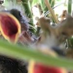 Profile Picture of Kris Salter (@kriszimmermansalter) on Instagram