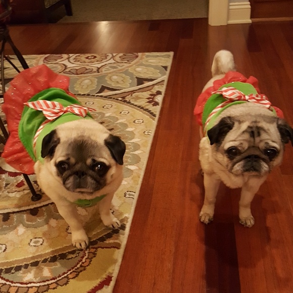 Profile Picture of Mary Blackport (@mblack125) on Poshmark