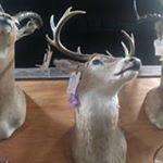 Profile Picture of Abraham Tejeda (@abraham.tejeda.756) on Instagram